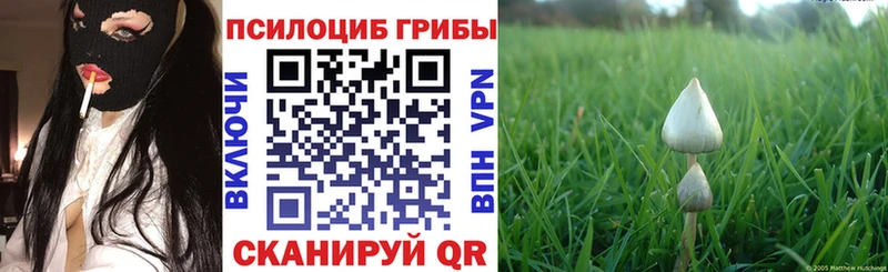 Псилоцибиновые грибы Magic Shrooms  наркошоп  Назарово 