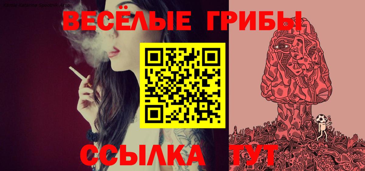 Псилоцибиновые грибы Cubensis Назарово